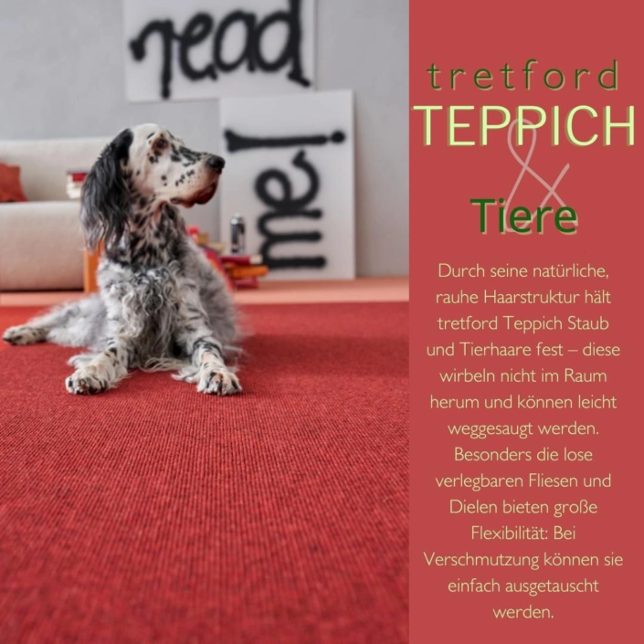Teppichboden – Fussboden Götze & Co. KG Teppichboden - Fussboden Götze & Co. KG